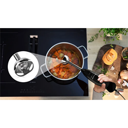 Bosch MSM2610B fekete botmixer