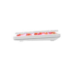 White Shark Nagamaki GK-006211W/R-US billentyűzet (US, vezetékes, mechanikus, 61 gomb, RGB világítás, USB 2.0, fehér)