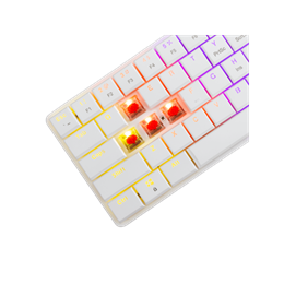 White Shark Nagamaki GK-006211W/R-US billentyűzet (US, vezetékes, mechanikus, 61 gomb, RGB világítás, USB 2.0, fehér)