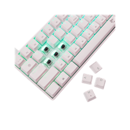 White Shark SHINOBI-2 billentyűzet (61, mechanikus, barna kapcsolók, hot-swap, RGB, vezetékes, angol, fehér)